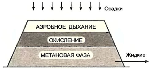 Процессы протекающие в полигоне